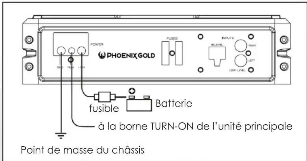 PHOENIX GOLD Z10150 - Raccordements electriques - 1