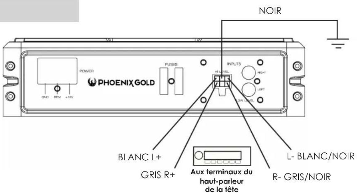 PHOENIX GOLD Z10150 - Raccordement d'entrée de haut niveau - 1