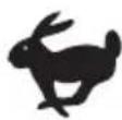 WORX WX317.2 - SYMBOLS - 13