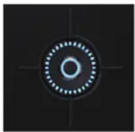 Fisher & Paykel CG151DNGGB5 - Caractéristiques et accessoires de la surface de cuisson - 2