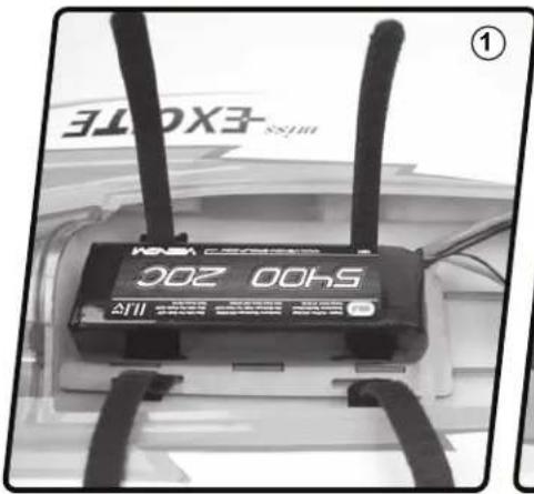 EXOTE 002 S11