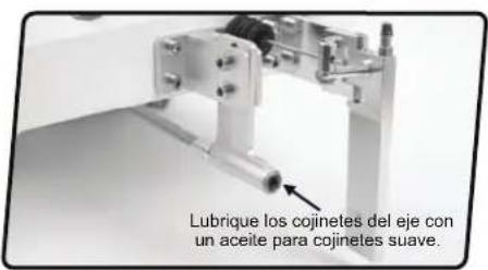 Lubrique los cojinetes del eje con un aceite para cojinetes suave.