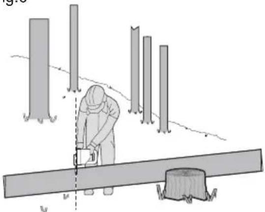 KRESS KC300.9 - Zkracování kmene stromu - 4