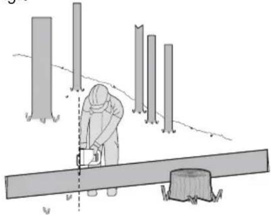 KRESS KC300.9 - Debitarea trunchiului de copac - 4