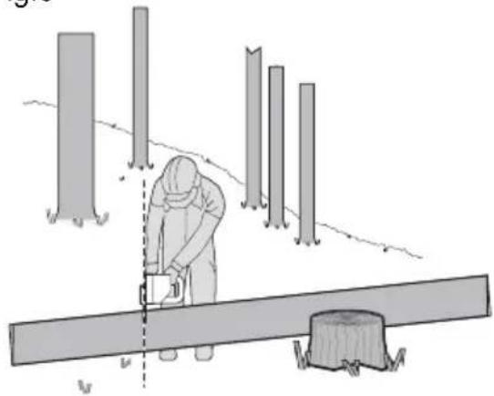 KRESS KC300.9 - Cortar troncos ao comprimento - 4