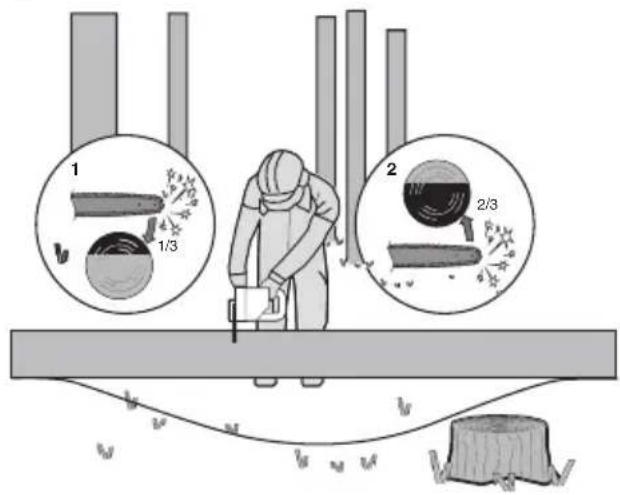 KRESS KC300.9 - Debitarea trunchiului de copac - 3