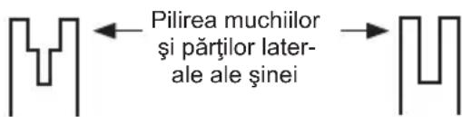 KRESS KC300.9 - CONDIȚIILE CARE IMPUN ÎNTRETINEREA LANTULUI ȘI A LAMEI DE GHIDARE: - 1