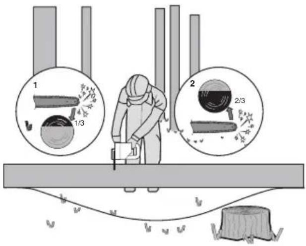 KRESS KC300.9 - Tronçonner les troncs d'arbre - 3