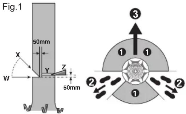 KRESS KC300.9 - Felling back cut - 1