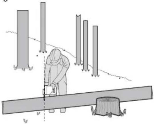 KRESS KC300.9 - Træstamme afkortes - 4
