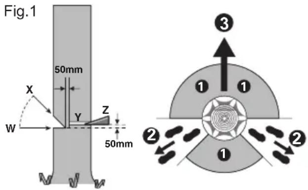 KRESS KC300.9 - Esecuzione del taglio di abbattimento - 1