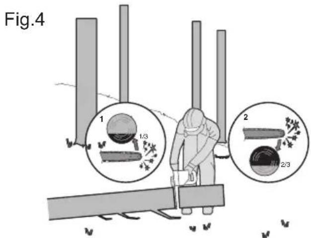 KRESS KC300.9 - Tronçonner les troncs d'arbre - 2