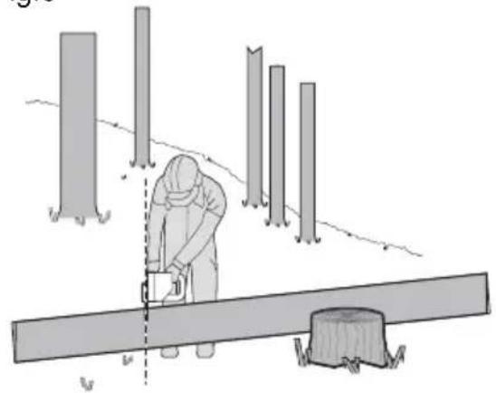 KRESS KC300.9 - Troceado del tronco - 4