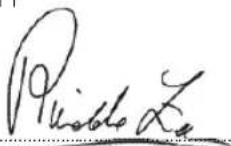 ILLY Francis Francis X7.1 - DICHIARAZIONE DI CONFORMITÀ CE-11 – DECLARATION OF CE-11 CONFORMITY DÉCLARATION DE CONFORMITÉ CE-11 – CE-11 KONFORMITÄTSERKLÄRUNG DECLARAÇÃO DE CONFORMIDADE CE-11 – EG-11 CONFORMITEITSVERKLARING EU-11-OVERENSSTEMMELSESERKLÆRING - ΔΗΛΩΣΗ ΣΥΜΜΟΡΦΩΣΗΣ CE - 11 - 1