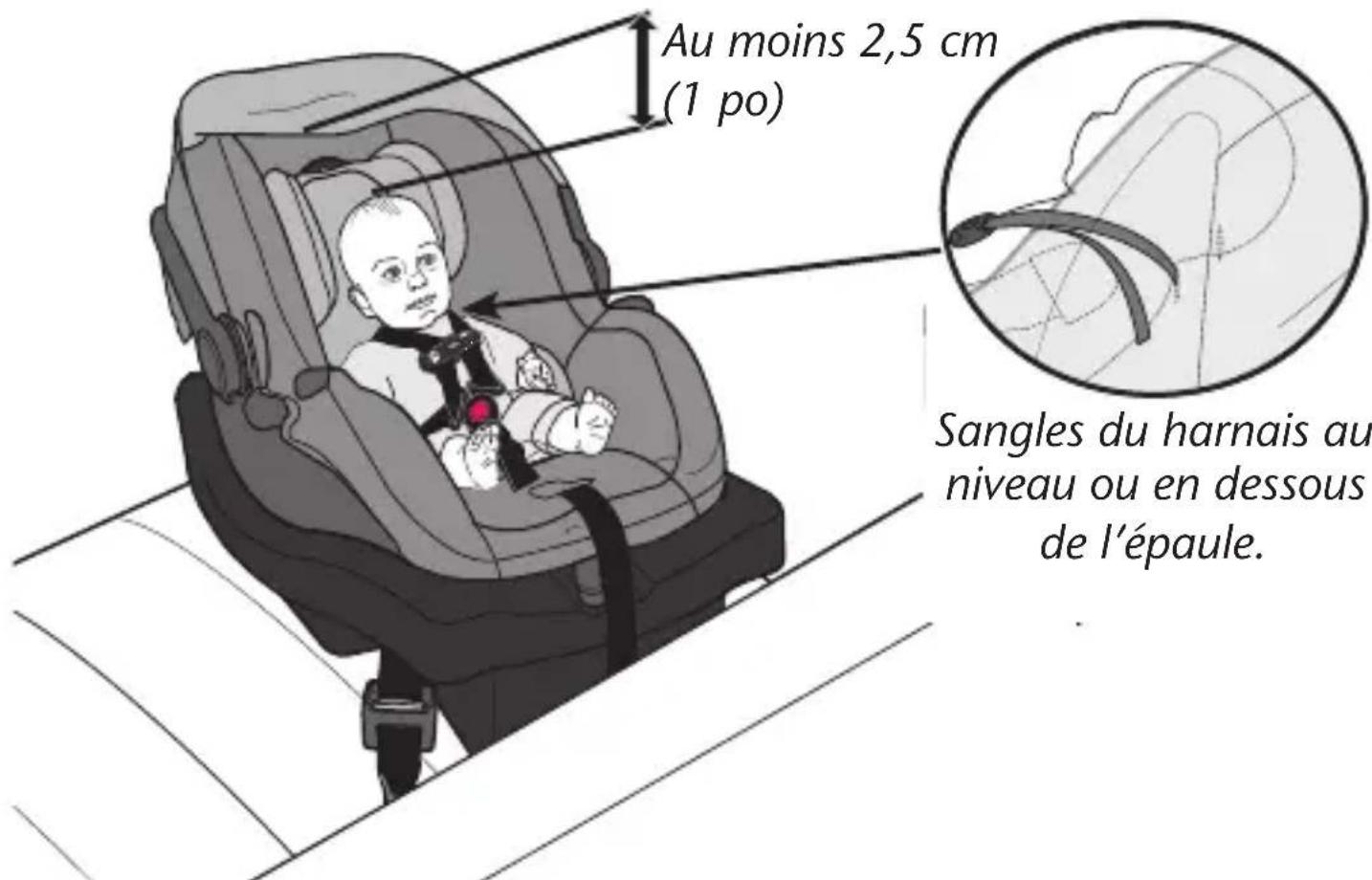 Evenflo LiteMax DLX - Conditions requises pour l'enfant - 1