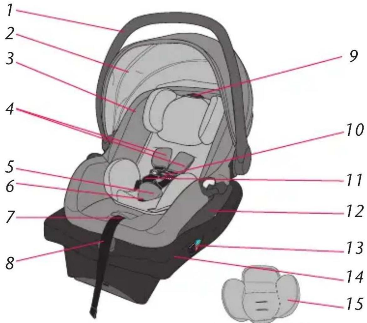 Evenflo LiteMax DLX - Avant - 1