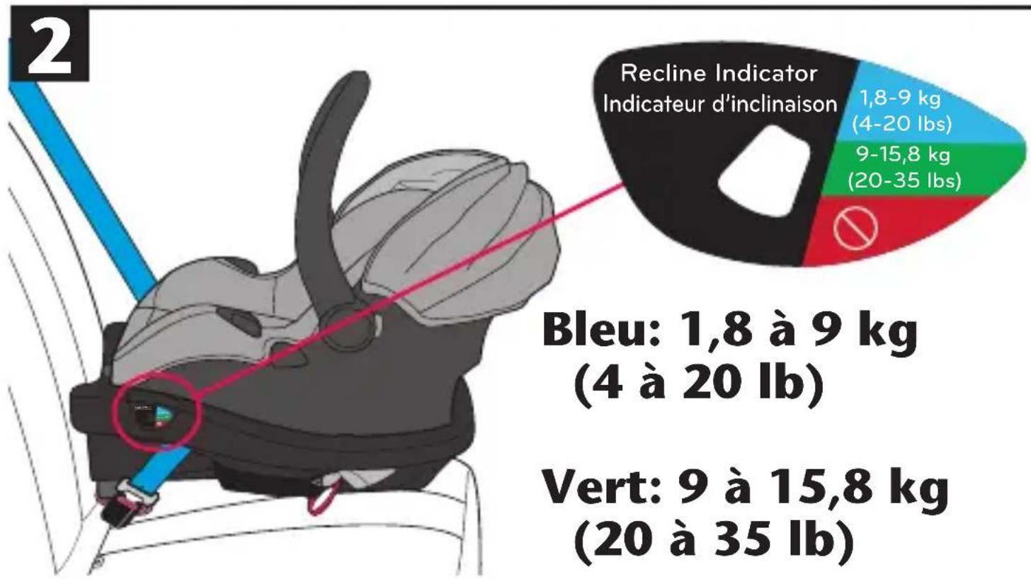 Evenflo LiteMax DLX - Placer le porte-bébé dans la base (suite) - 1