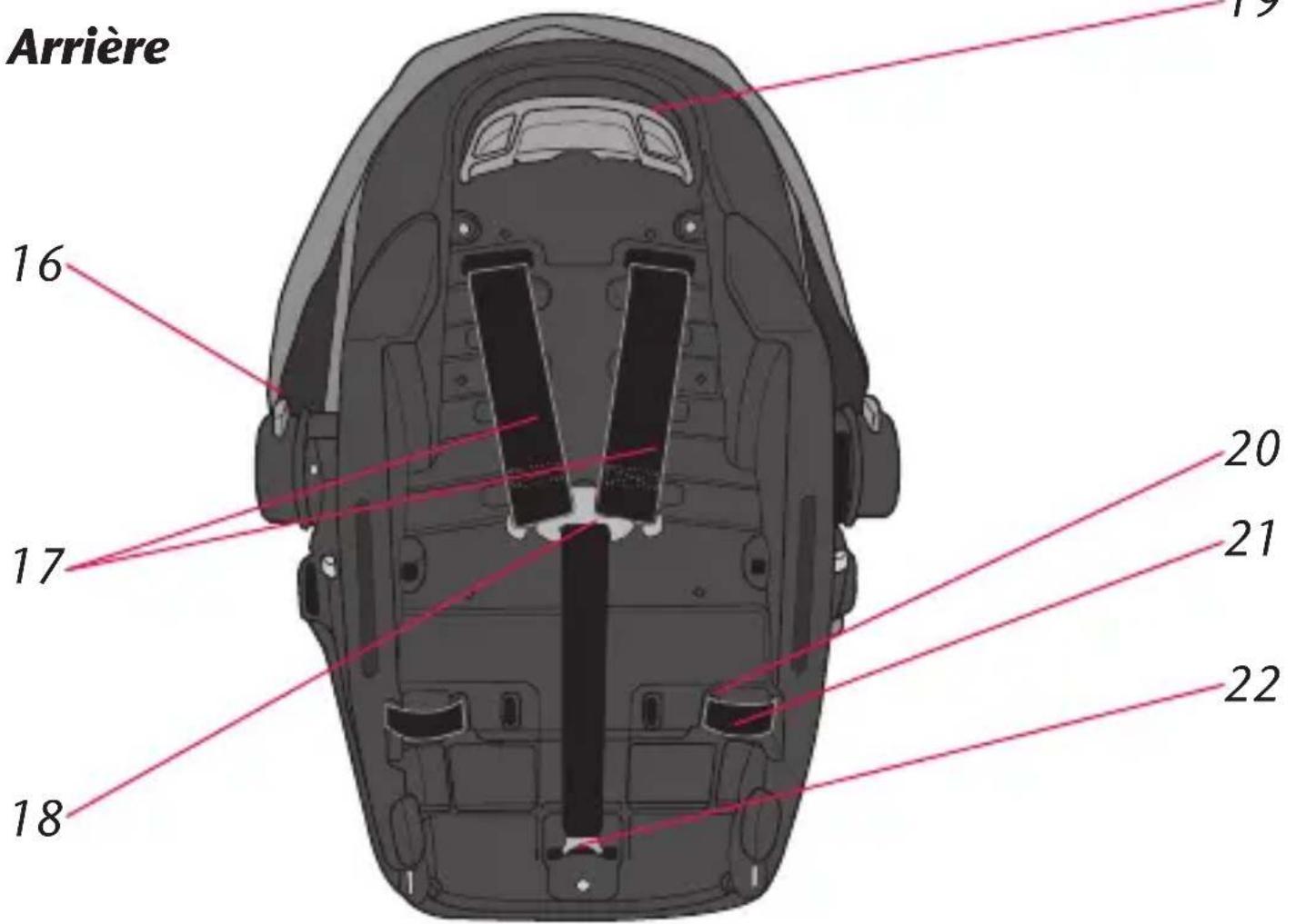 Evenflo LiteMax DLX - Caracteristiques du siège d'enfant - 1