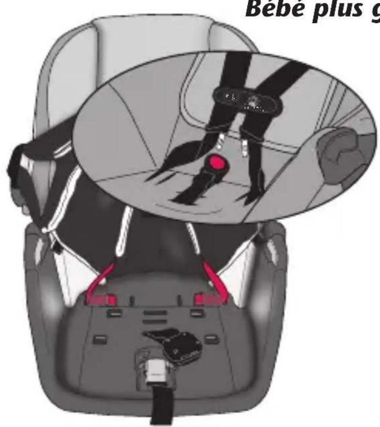 Evenflo LiteMax DLX - Changer la position de la sangle de la ceinture (suite) - 2