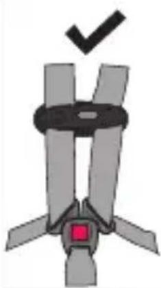 Evenflo LiteMax DLX - AVERAGEMENT - 2