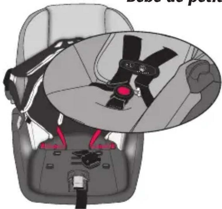 Evenflo LiteMax DLX - Changer la position de la sangle de la ceinture (suite) - 2