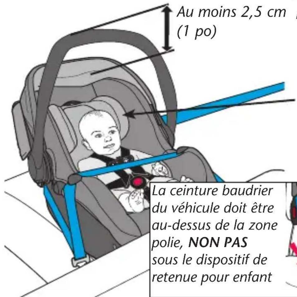 Evenflo LiteMax DLX - Conditions requises pour l'enfant - 1