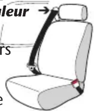Evenflo LiteMax DLX - de sécurité de vehicule - 1