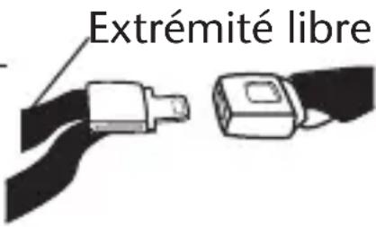 Evenflo LiteMax DLX - Ceinture sous-abdominale avec plaque de verrouillage - 1