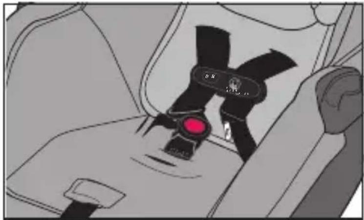 Evenflo LiteMax DLX - Changer la position de la sangle d'entrejambe - 2