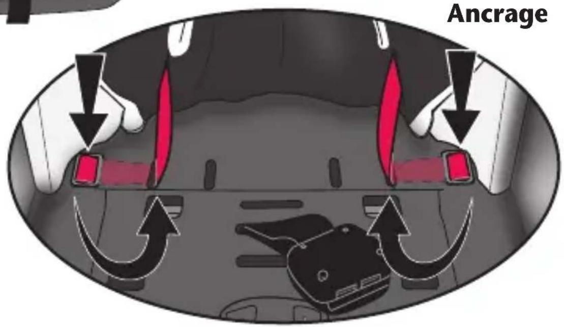 Evenflo LiteMax DLX - Changer la position de la sangle de la ceinture (suite) - 2