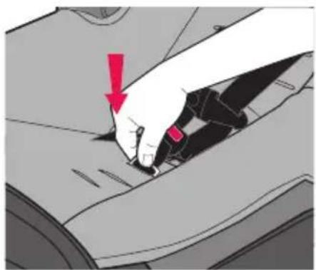 Evenflo NurtureMax - Changement de la position de la sangle de la boucle d'entrejambe - 2