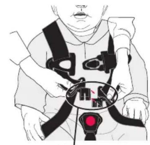 Evenflo NurtureMax - Sécurisation de l'enfant dans le porte-bébé - 3