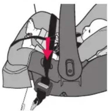 Evenflo NurtureMax - 3 - 1