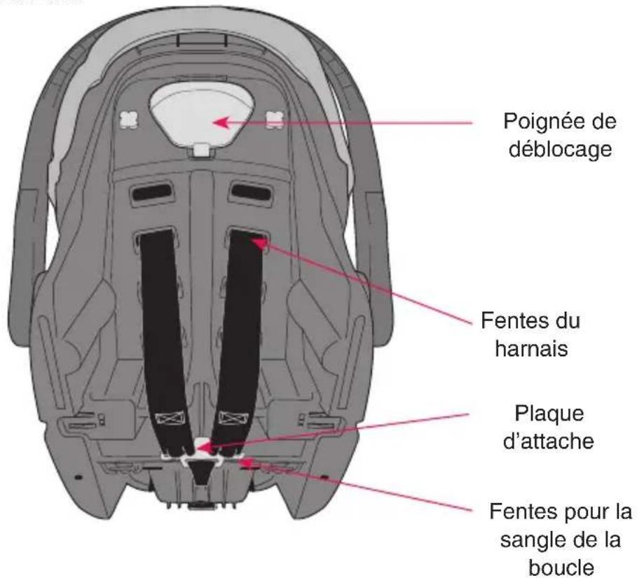 Evenflo NurtureMax - Caractéristiques du dispositif de retenue pour enfant - 2