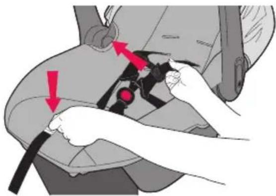 Evenflo NurtureMax - Changement de la position de la sangle de la ceinture - 1