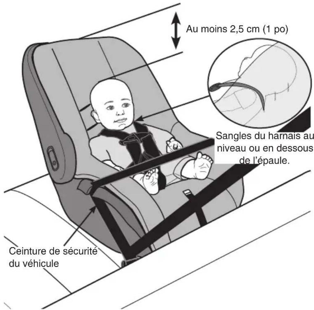 Evenflo NurtureMax - Conditions requises pour l'enfant - 1