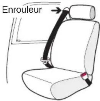 Evenflo NurtureMax - Avertissements concernant les ceintures de sécurité - 1