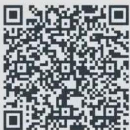 DOMO DO10161 - NL - 3