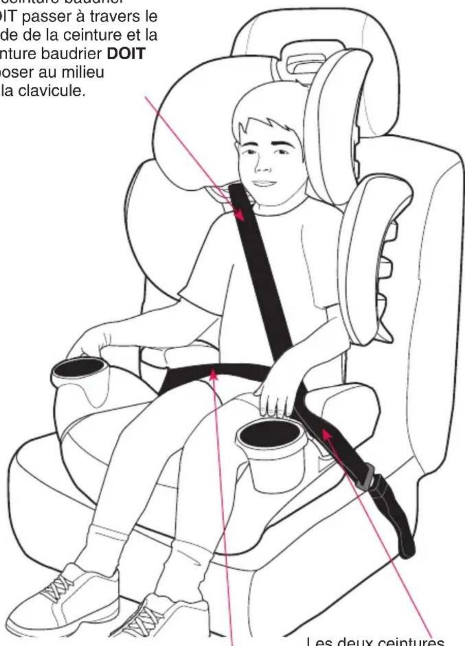 Evenflo GoTime LX - Ceinture baudrier : - 1