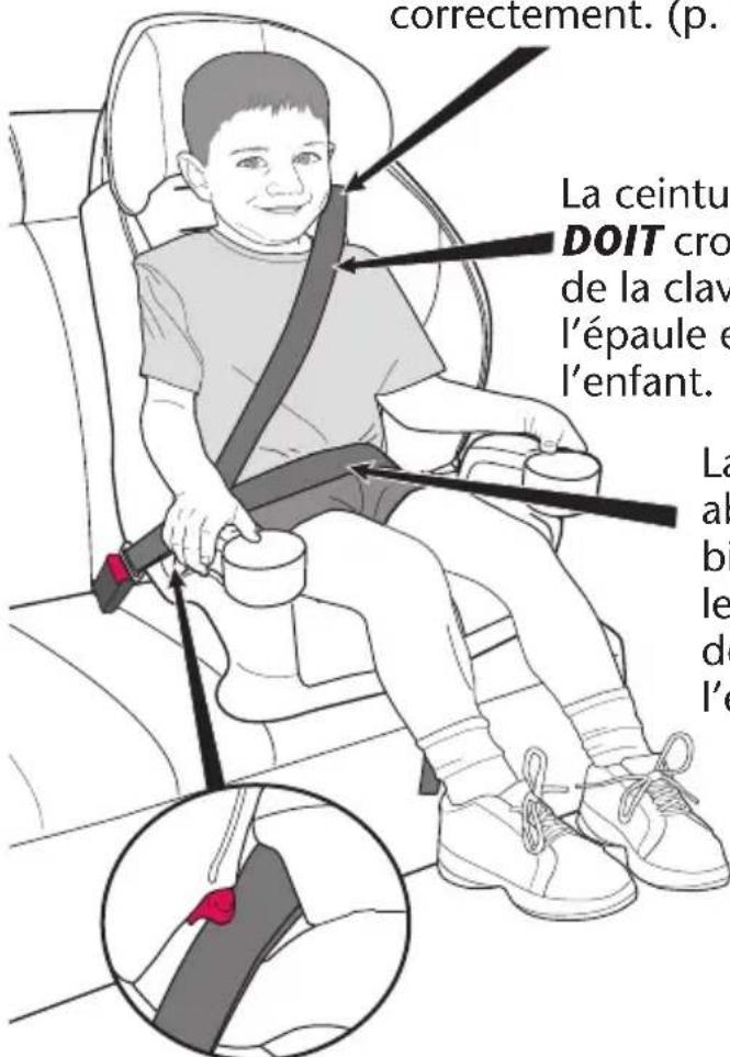 Evenflo Chase LX - L'enfant doit satisfaire aux conditions suivantes - 2