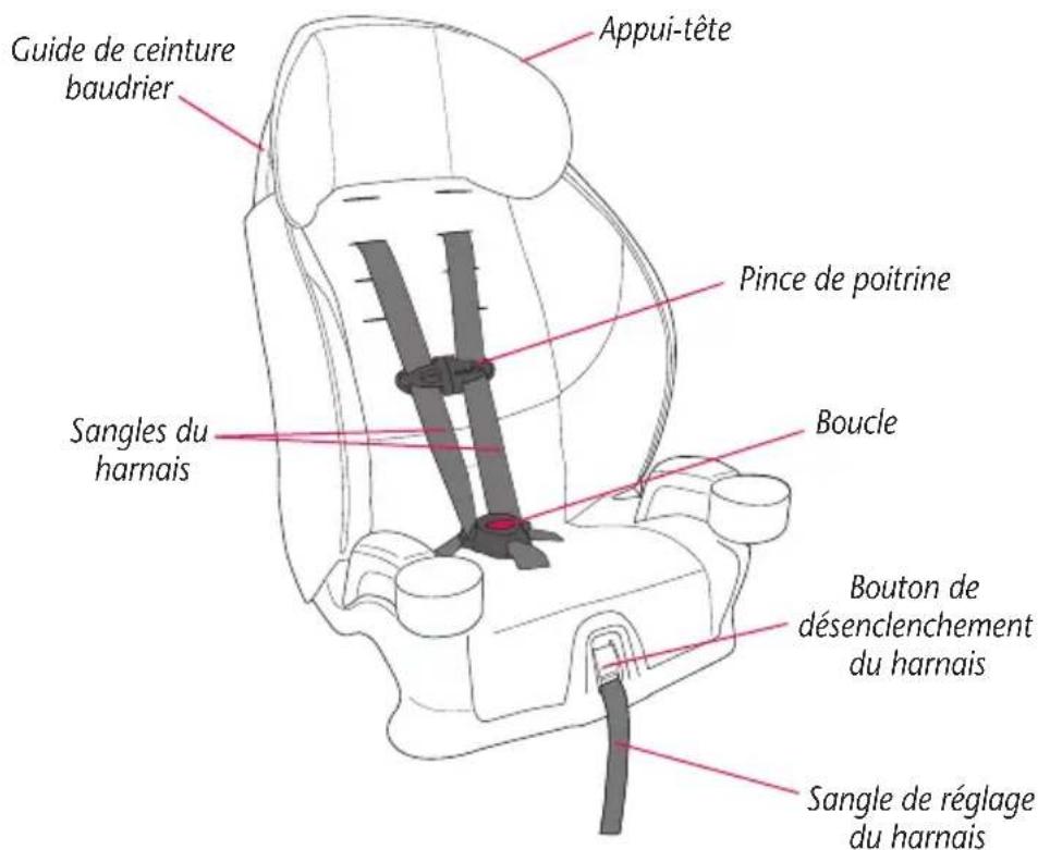 Evenflo Chase LX - Glossaire visuel - 2