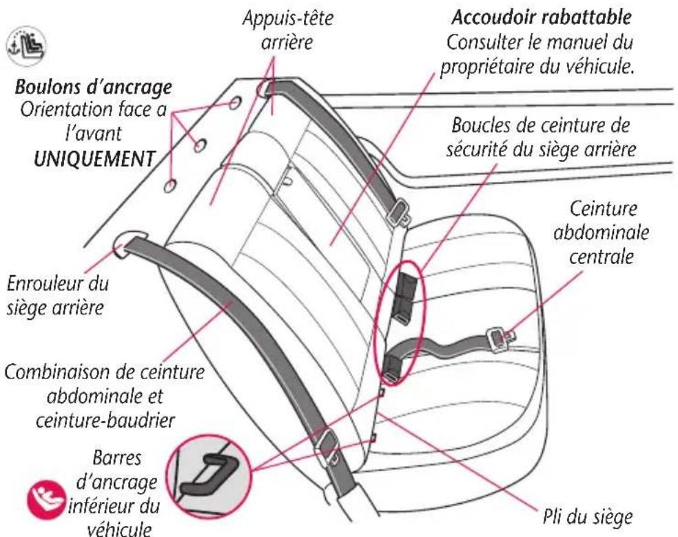 Evenflo Chase LX - Glossaire visuel - 1