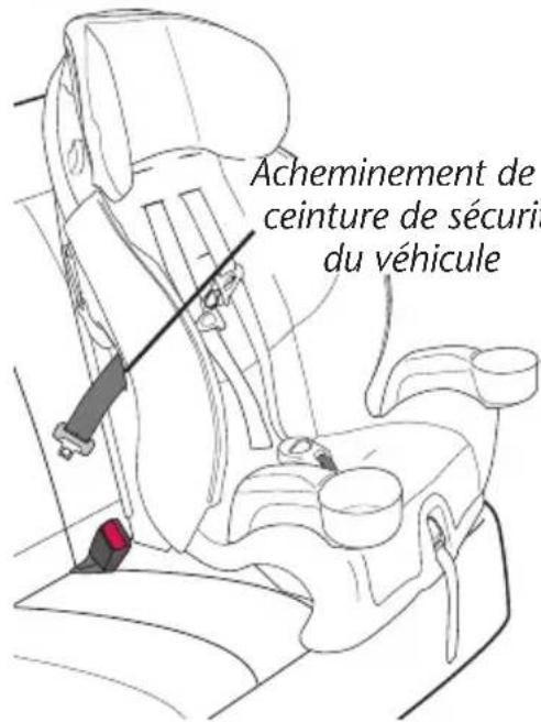 Evenflo Chase LX - Installation avec la ceinture de sécurité du véhicule - 3
