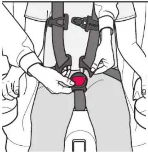 Evenflo Chase LX - Mettre les sangles du harnais en position désirée. - 1