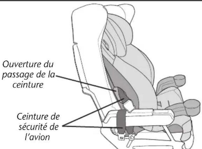 Evenflo Chase LX - Mettre le dispositif de retenue pour enfant en position désirée. - 1
