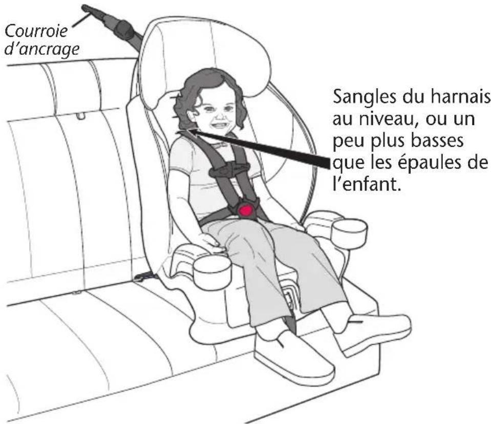 Evenflo Chase LX - L'enfant doit satisfaire aux conditions suivantes - 2