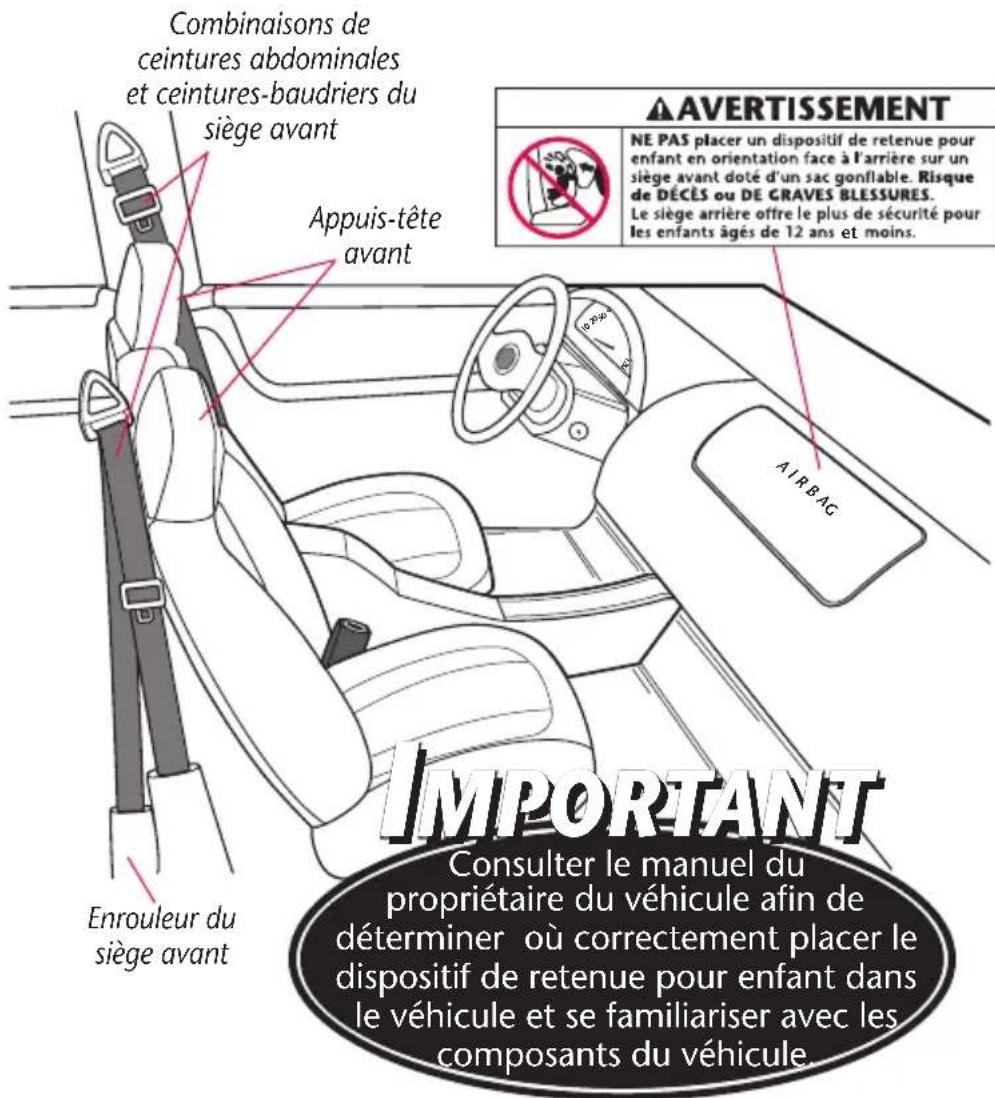 Evenflo Chase LX - Glossaire visuel - 3