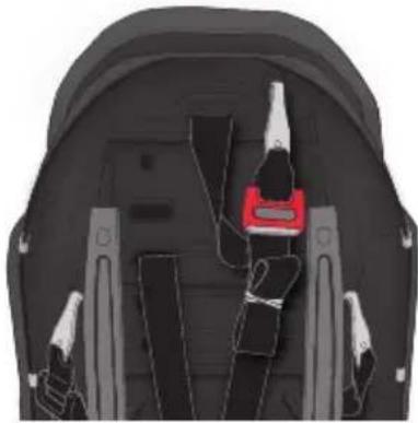 Evenflo Chase Plus - AVERTISSEMENT - 3
