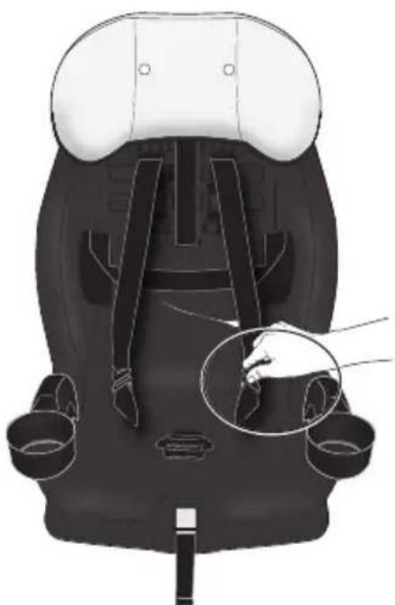 Evenflo Chase Plus - Desserrer le harnais. - 5