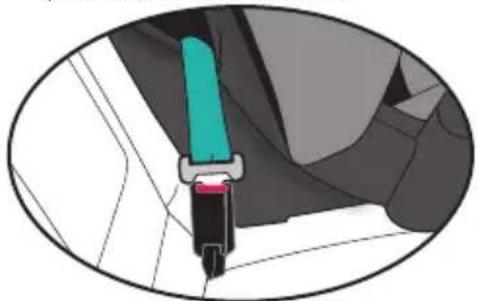 Evenflo Maestro Sport - Installation avec les ceintures de sécurité du véhicule - 4